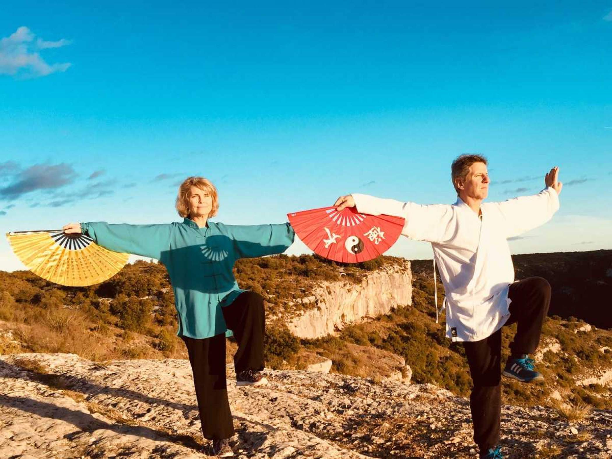 eventail falaise.jpg -